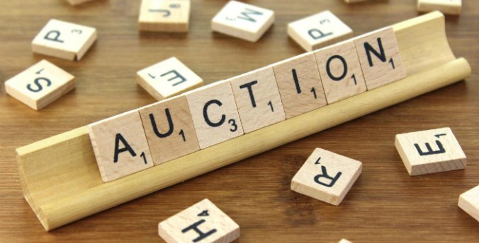 common-problems-with-auction-properties
